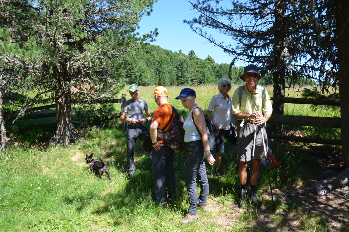 Latschenoelbrennerei und Platzer Alm 23.07.2019